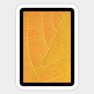 Autumn Leaf Sticker